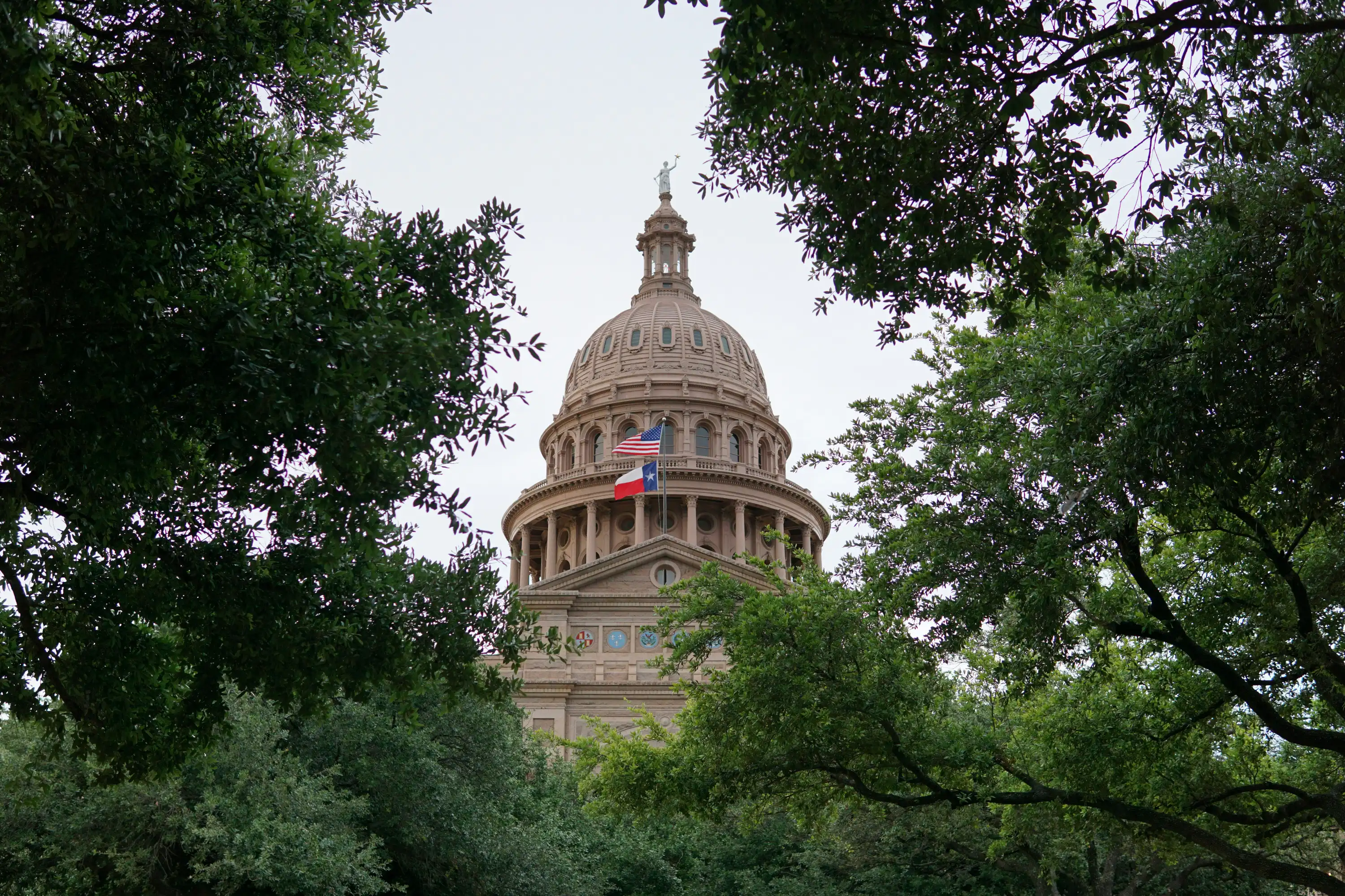 Legal Guide to Texas Mortgage Relief Programs guide